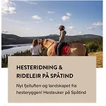 Synnseter, Synnfjellet, Fjellstuguvegen 38, 2880 Nord Torpa Апартаменты