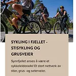 Апартаменты Synnseter, Synnfjellet, Fjellstuguvegen 38, 2880 Nord Torpa