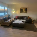 Synnseter, Synnfjellet, Fjellstuguvegen 38, 2880 Nord Torpa Апартаменты *
