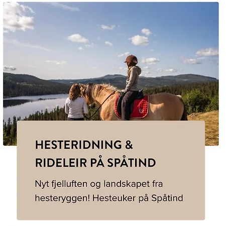 Til Leie Pa Synnfjell Apartment
