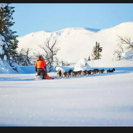 Апартаменты Synnseter, Synnfjellet, Fjellstuguvegen 38, 2880 Nord Torpa Nord Torpa