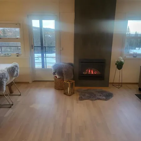 Synnseter, Synnfjellet, Fjellstuguvegen 38, 2880 Nord Torpa Апартаменты Nord Torpa