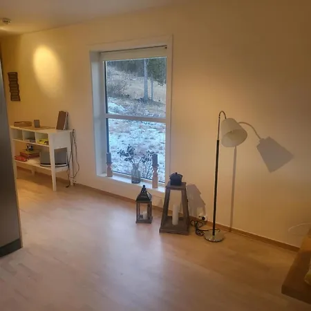 Til Leie Pa Synnfjellet Lii