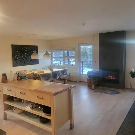 Til Leie Pa Synnfjellet * Lii