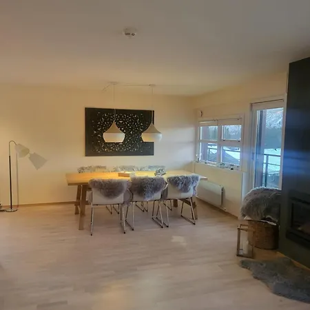 Til Leie Pa Synnfjell Apartment