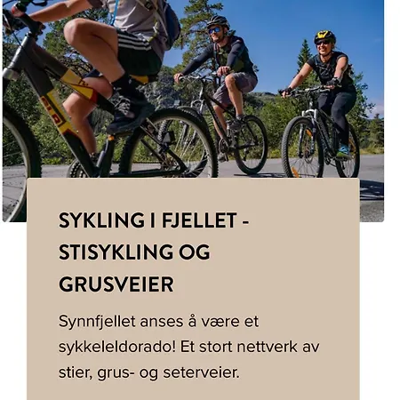 Апартаменты Synnseter, Synnfjellet, Fjellstuguvegen 38, 2880 Nord Torpa