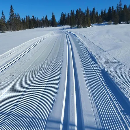 Synnseter, Synnfjellet, Fjellstuguvegen 38, 2880 Nord Torpa Апартаменты *