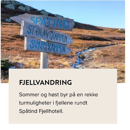 Til Leie Pa Synnfjell *