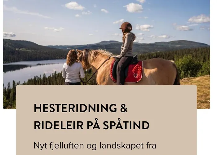 Synnseter, Synnfjellet, Fjellstuguvegen 38, 2880 Nord Torpa Apartamento