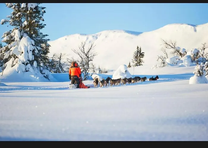 Apartamento Synnseter, Synnfjellet, Fjellstuguvegen 38, 2880 Nord Torpa Lii