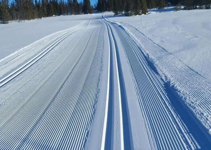Synnseter, Synnfjellet, Fjellstuguvegen 38, 2880 Nord Torpa Apartamento *