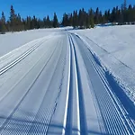 Synnseter, Synnfjellet, Fjellstuguvegen 38, 2880 Nord Torpa Lejlighed *