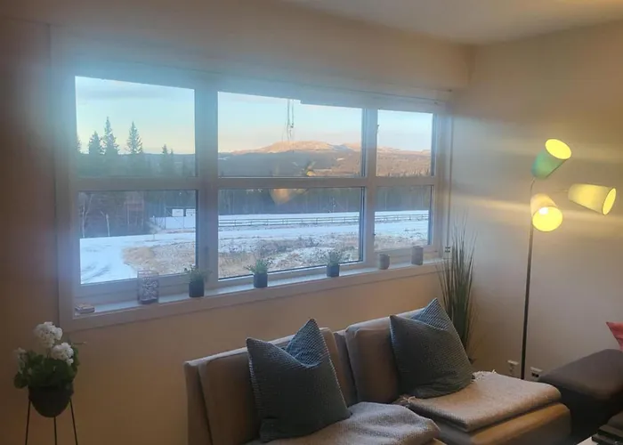 Apartman Synnseter, Synnfjellet, Fjellstuguvegen 38, 2880 Nord Torpa *